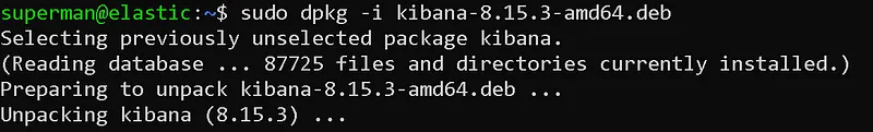 Then, let's perform the installation process with dpkg, which is the package installation tool of Debian (2)