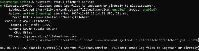 Beats Configuration: Filebeat Service Status