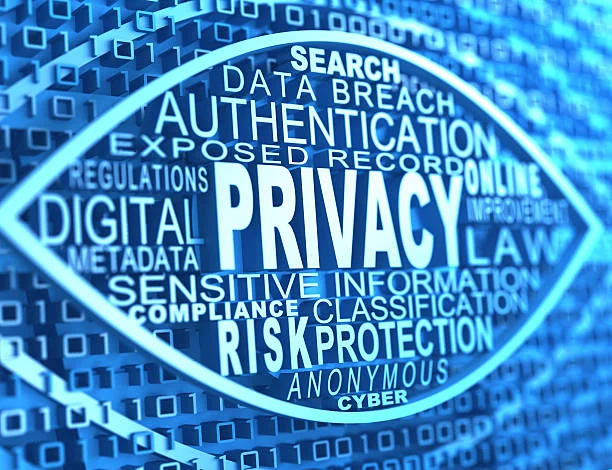 Data Privacy and GDPR/CCPA Compliance Processes