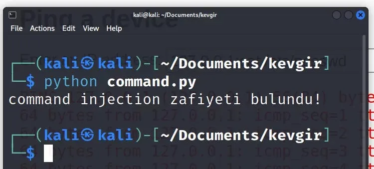 'www-data' consists of a string that we can understand that the command is working when it is found in the response, it is