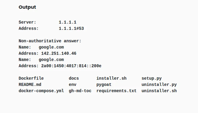 After running this command, the files in the directory will be printed to the web page after nslookup results