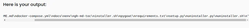 When the payload we prepared runs, the command we gave, ls, will run and print the files in the directory on the server