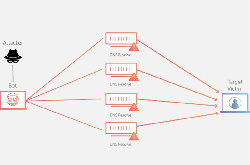 DNS amplification is a technique used in distributed denial-of-service (DDoS) attacks