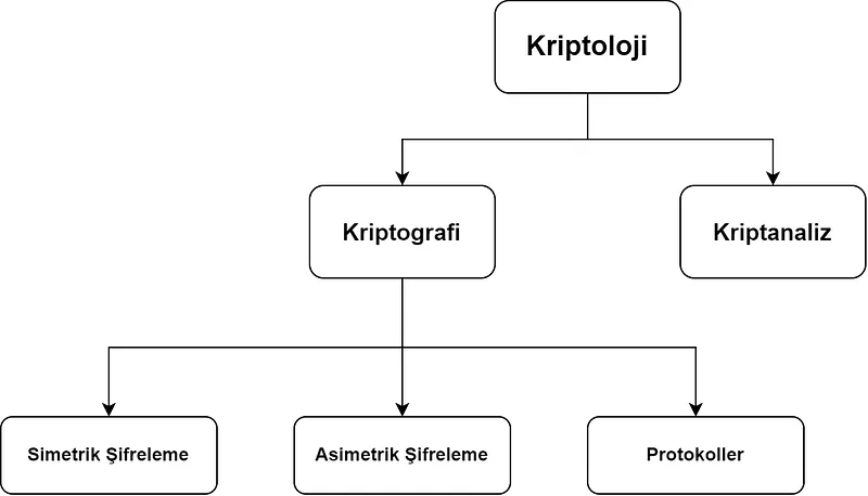 Kriptografi, bir mesajın anlamını gizlemek amacıyla gizli yazma bilimidir