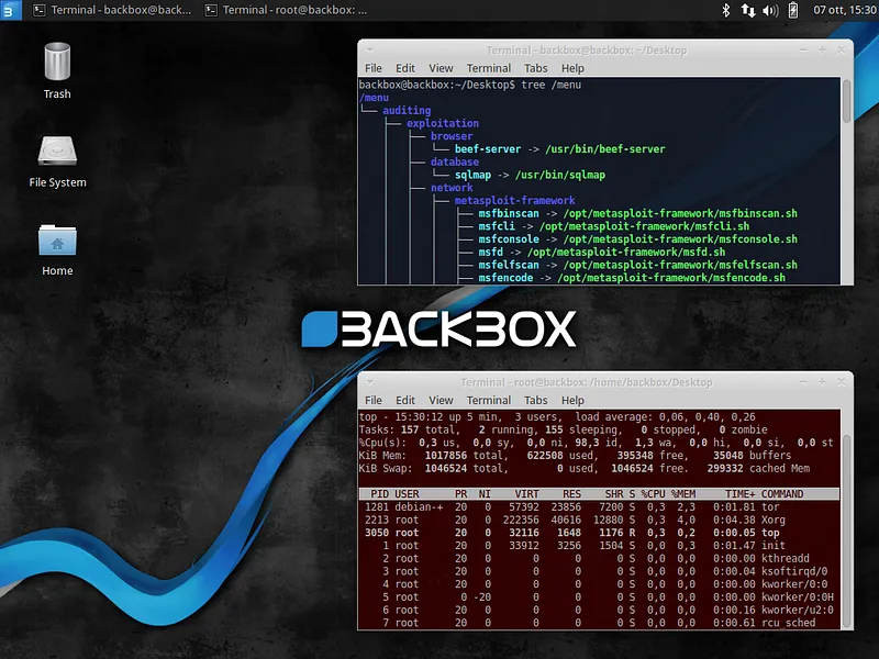 BackBox, siber güvenlik uzmanları ve penetrasyon testi profesyonelleri için tasarlanmış bir Linux dağıtımıdır