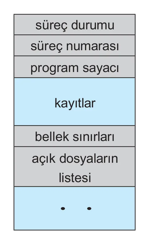 Proses Kontrol Bloğu (PCB) Anatomisi